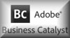 Adobe Business Catalyst